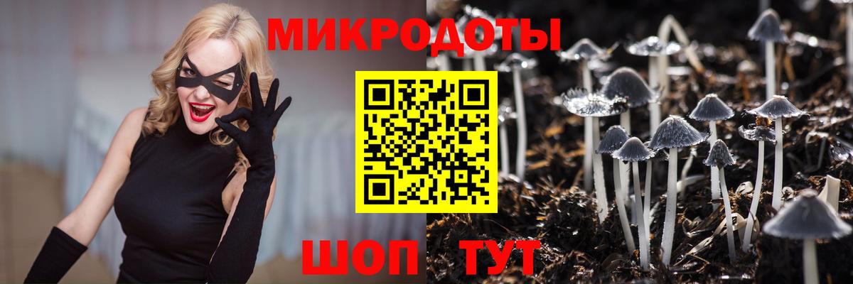 Псилоцибиновые грибы GOLDEN TEACHER  Вход с VPN  Унеча 