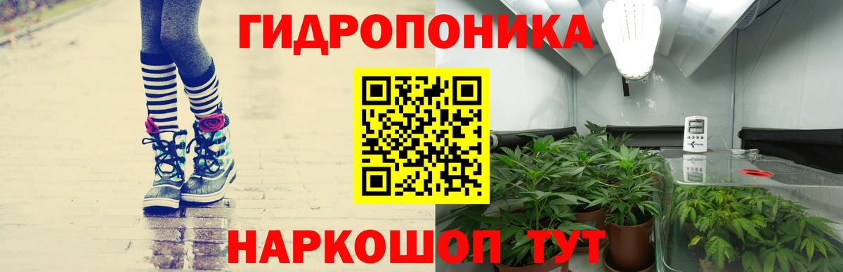 Шишки марихуана сатива  Марихуана планчик  Вход с VPN  Шишки марихуана LSD WEED  Унеча 